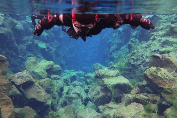 En Islande, plongée glaciale entre deux continents