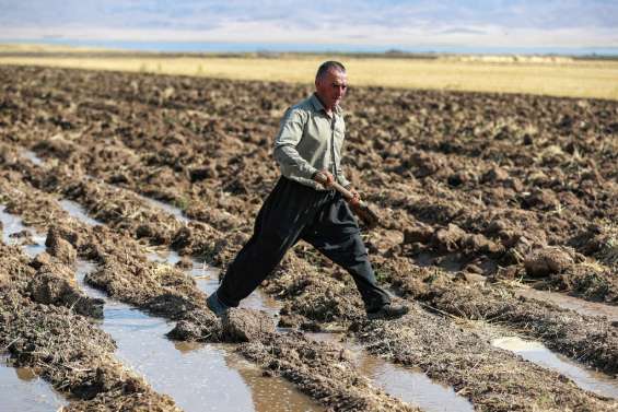 Au Kurdistan d'Irak, le lac Dukan a soif et les agriculteurs transpirent