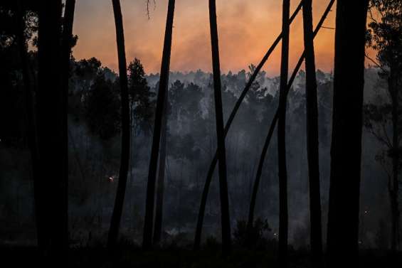 Sous la canicule, le Portugal peine à maîtriser plusieurs feux de forêt