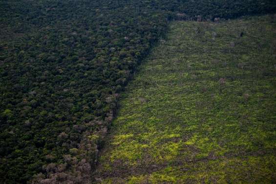 Brésil: en Amazonie, les 