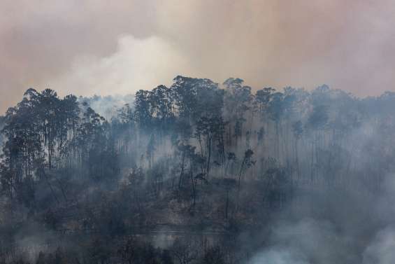 Poursuite des incendies dans le sud-ouest de l'Europe, le Royaume-Uni en alerte rouge