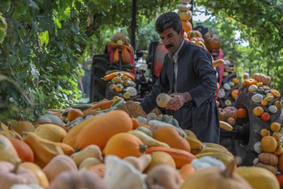 En Irak, l'agriculteur kurde qui met les réseaux sociaux au vert