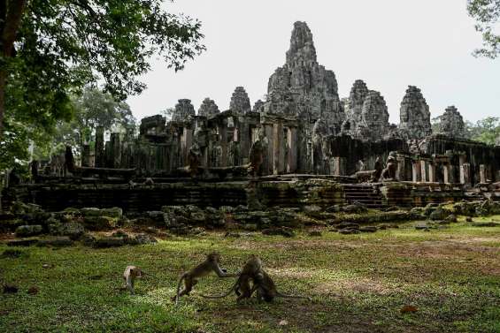 Cambodge: autour d'Angkor, le fragile retour des espèces sauvages menacées 