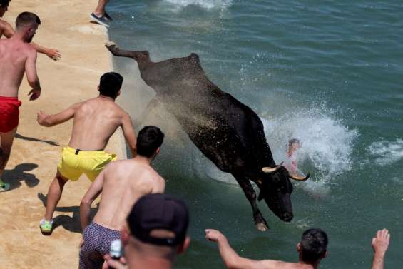 En Espagne, le débat sur les lâchers de taureaux avivé par une série de décès