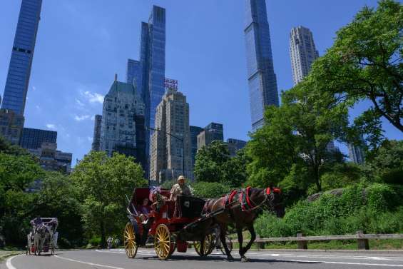 Menace sur les calèches de New York