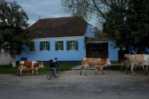 En Transylvanie, pèlerinage sur des terres chères à Charles III