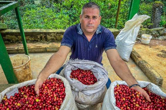 A Cuba, du café haut de gamme pour relancer un secteur en berne