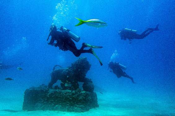 Au large de la Floride, un cimetière sous-marin utile à la faune aquatique