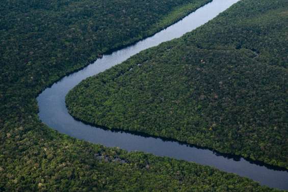 Déforestation: accord inédit de l'UE pour verdir ses importations