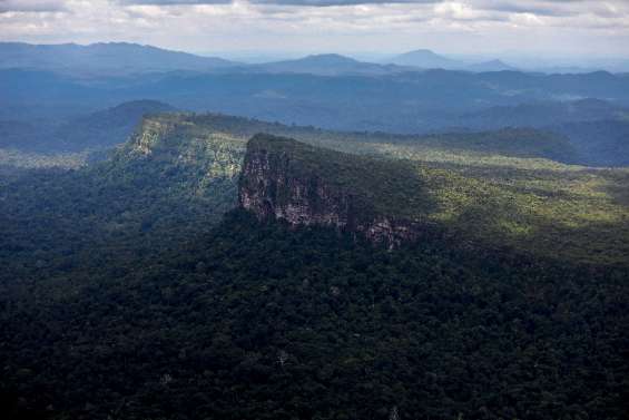 Brésil: des orpailleurs fuient les terres yanomami avant l'arrivée de la police