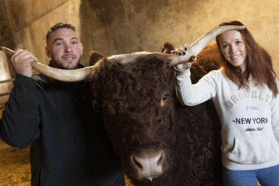 Ovalie, vache égérie, s'apprête à jouer les stars au salon de l'Agriculture