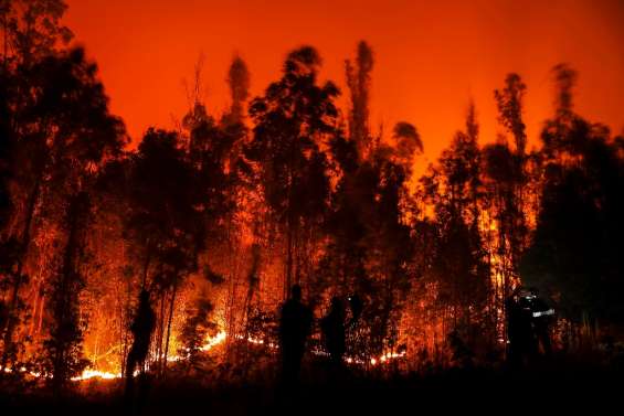 Chili: 24 morts dans des immenses feux de forêt, plus de 1.100 blessés