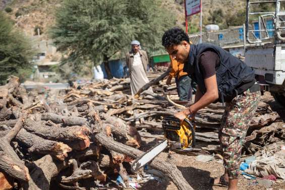 Au Yémen en guerre, les arbres sacrifiés face à la flambée de l'énergie