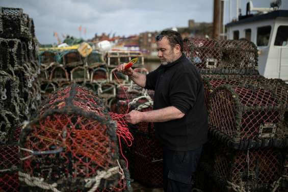 En Angleterre, une écloserie pour préserver l'avenir des homards et des pêcheurs