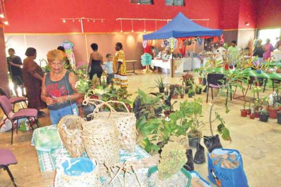 Artisanat et plantes avant les fêtes de Noël