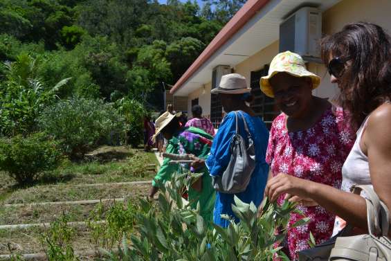 Les jardins familiaux et les ruchers de Tuband ont été inaugurés ce matin