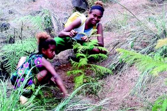 Les filles de Saint-Joseph préservent l’eau