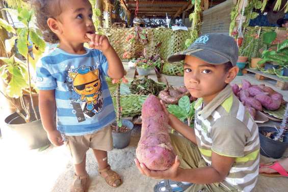 Hnathalo va célébrer la patate douce ce week-end