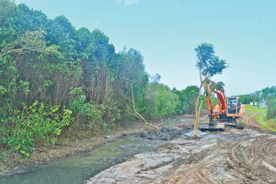 Premiers coups de pelle  dans la mangrove de Boulari