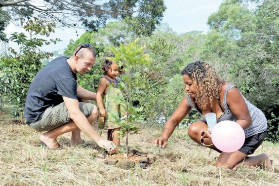 Les petits Nouméens prennent soin de leurs racines