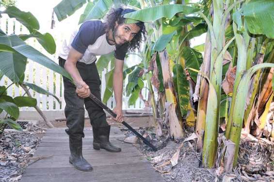 Alexandre cultive sa passion pour les plantes