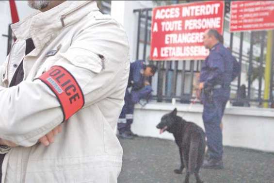 Une brigade canine pour assister la police municipale