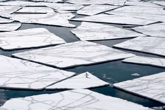 La mer de Ross deviendra un immense sanctuaire