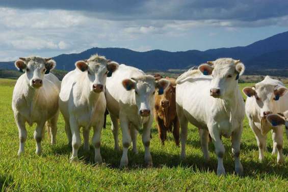 L'agriculture perd du terrain