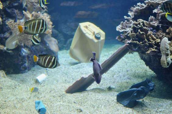 A la pêche aux déchets