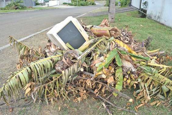 Très chers déchets verts