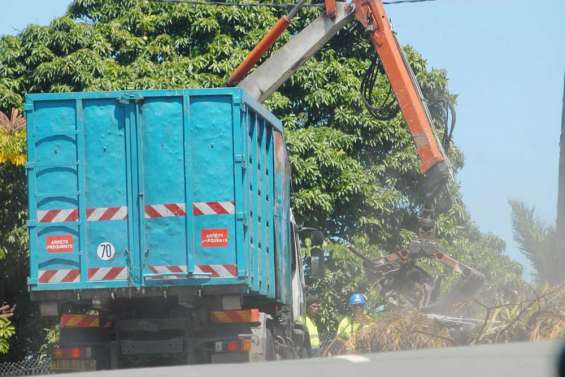 L'invasion des déchets verts