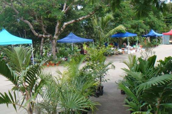 Les bonnes affaires sont dans le jardin