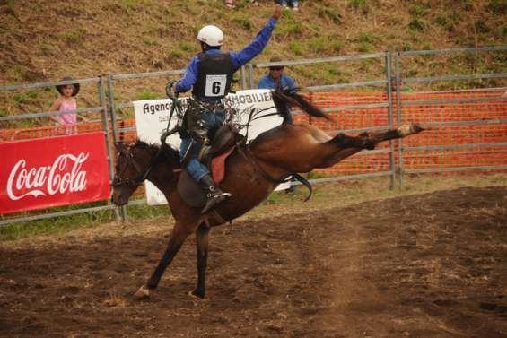 Païta mise sur l'effet boeuf