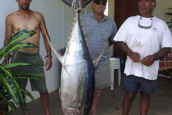 75 kilos  de sashimi