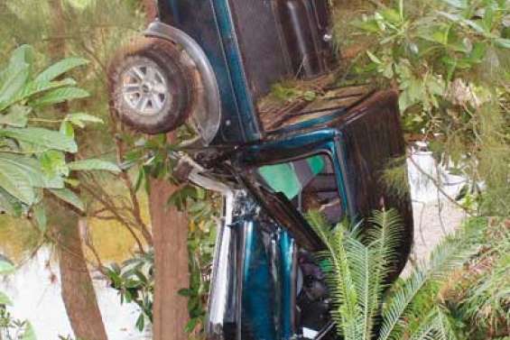 Sur un arbre perché à Houaïlou