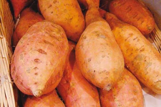 La patate douce refait l'histoire