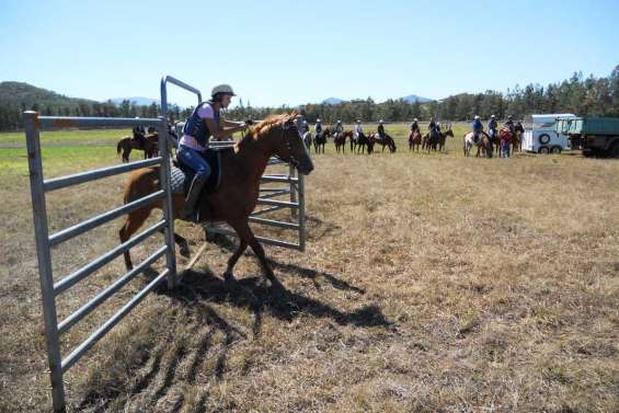 Galop d'essai pour les jeux équestres