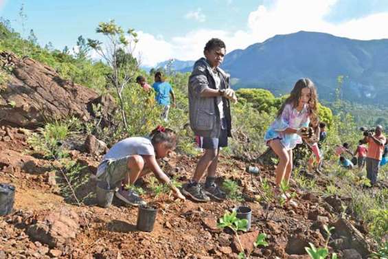 Les planteurs en herbe à l'assaut du Mont-Goumba