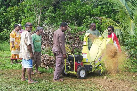 Les producteurs de vanille s'organisent