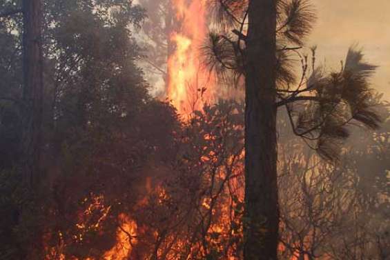 Douze départs de feu dans tout le pays