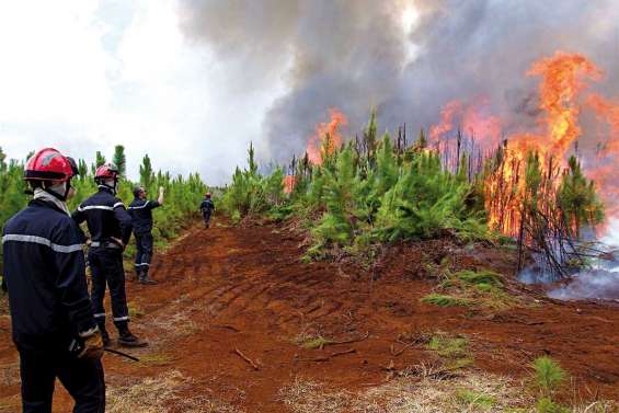 La science contre le feu