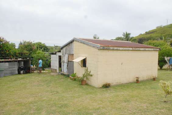 Des squatteurs dans le flou