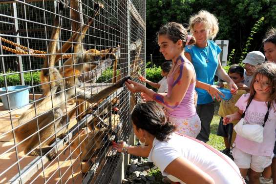 Apprentis soigneurs pour animaux