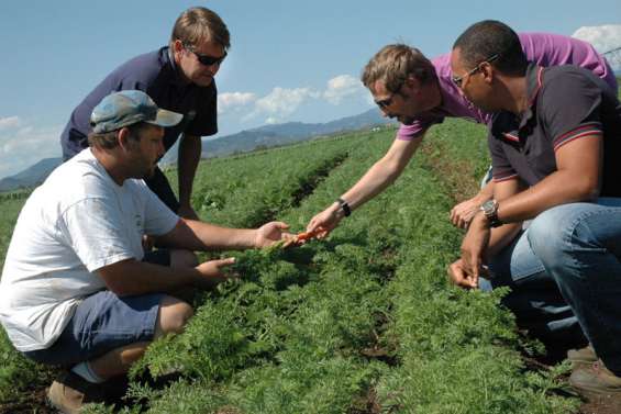 L'agriculture responsable prend racine dans le pays