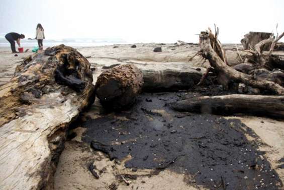 Les plages kiwies broient du noir