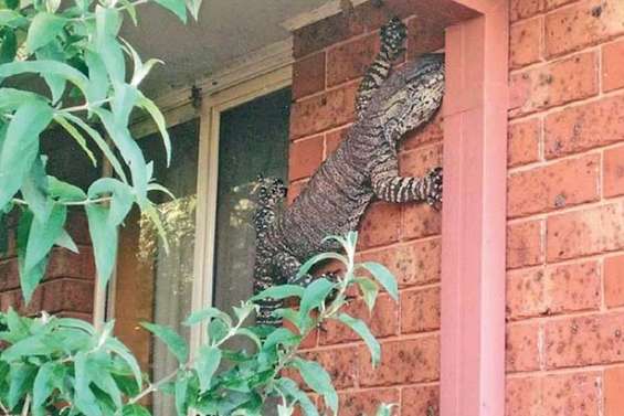 Une rencontre peu banale et une grosse frayeur