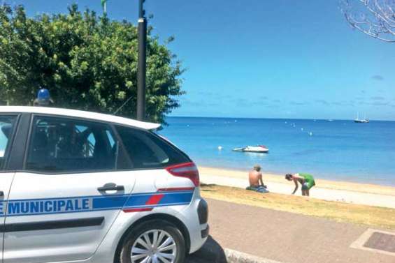 Un requin-bouledogue baie des Citrons