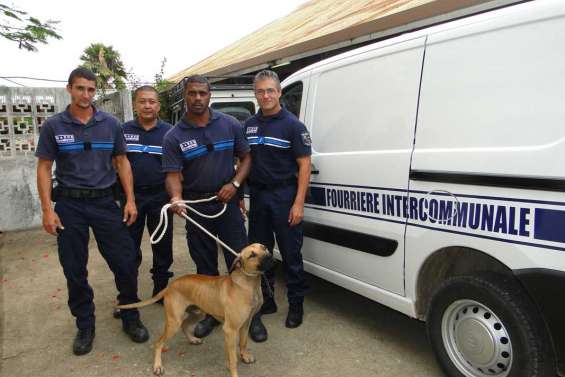 Les chiens aboient, la fourrière les ramasse