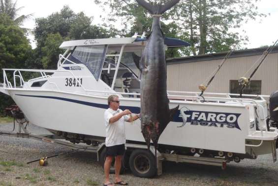 Un marlin de 3 mètres sur La Frégate