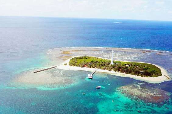 30 % des îles menacées